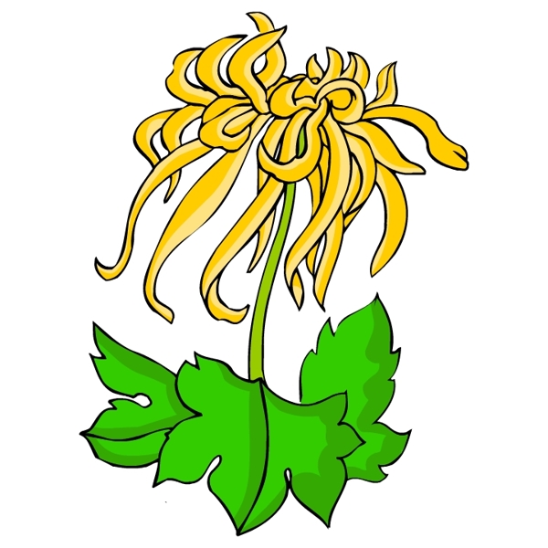 花卉古典插畫(huà)