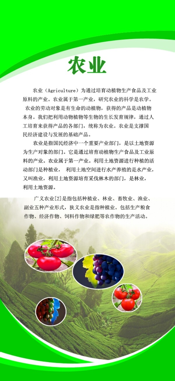 農(nóng)業(yè)易拉寶圖片
