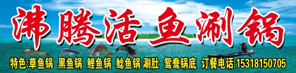 沸騰活魚涮鍋圖片