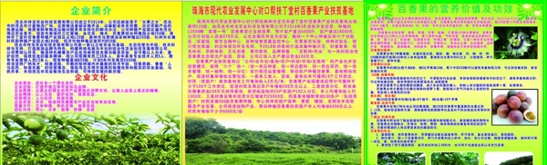 百香果