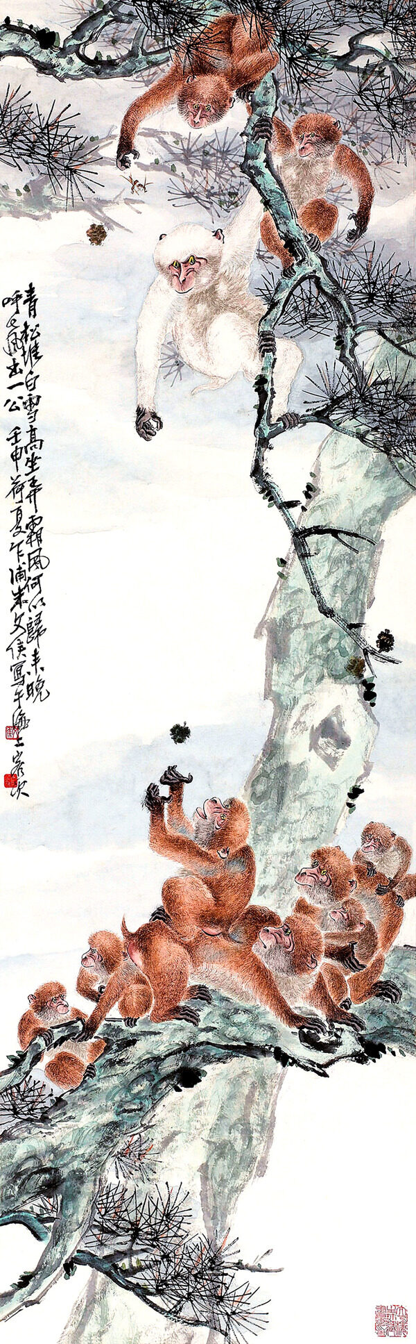 猴子鬧松圖片