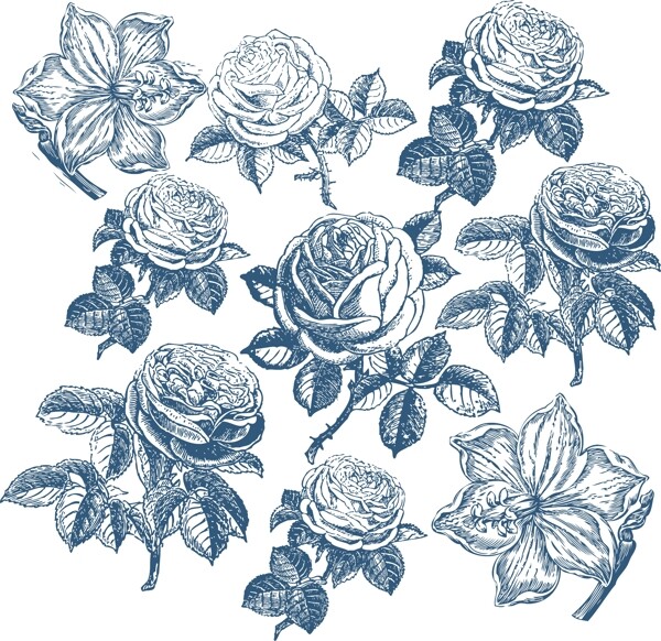 花青畫玫瑰
