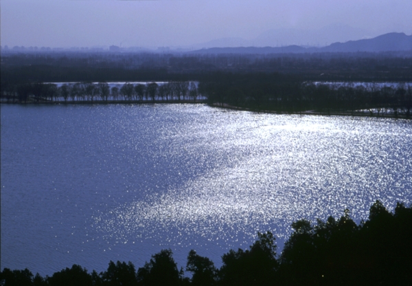 北京皇家园林颐和园湖面景色园林树木