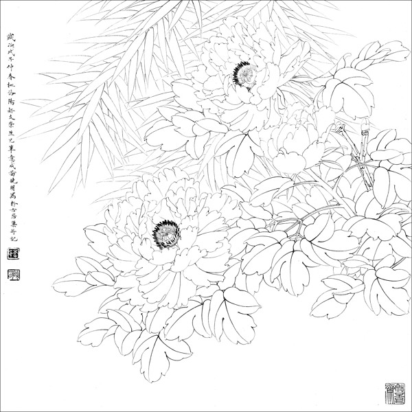 白描圖片