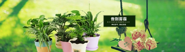 淘寶園藝全屏海報