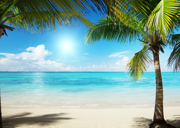 加勒比海沙滩美景图片