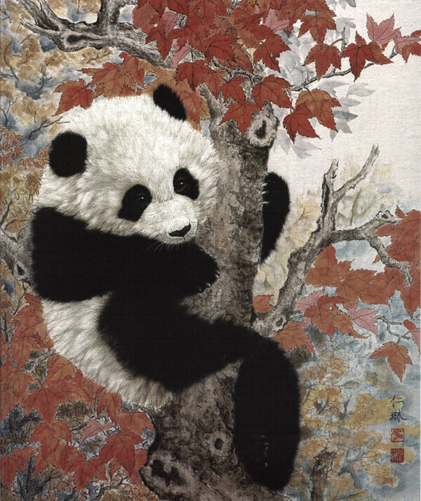 紅葉熊貓圖片
