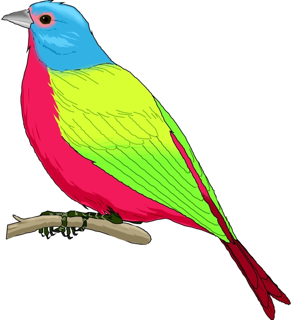 矢量逼真鳥類動物205