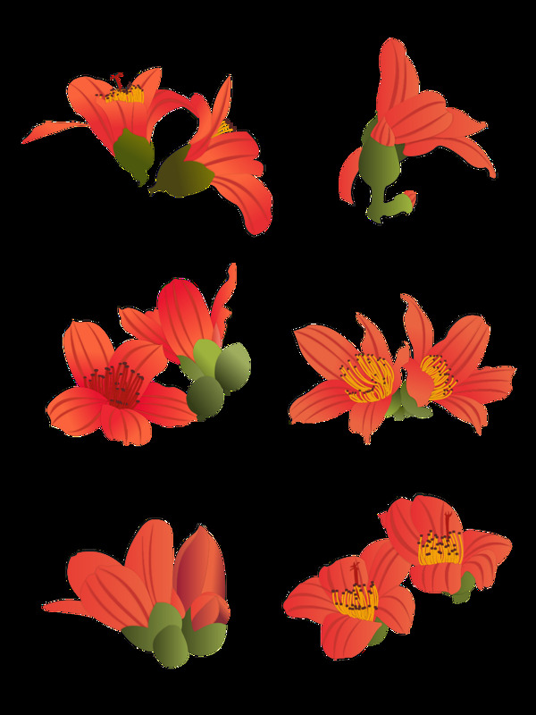手绘木棉花元素之卡通红色植物花套图