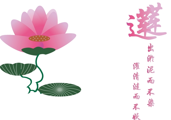 蓮