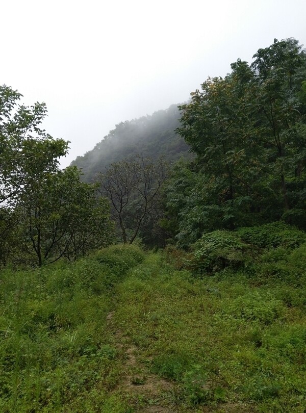 大山風(fēng)景
