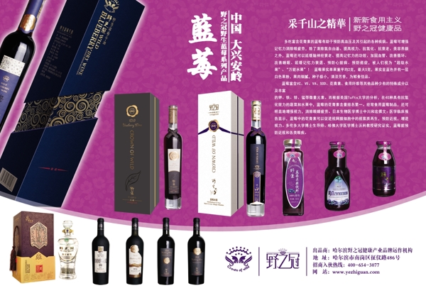 藍(lán)莓酒宣傳單圖片