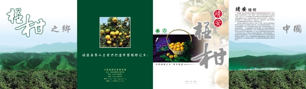 意蜂蜂蜜圖片