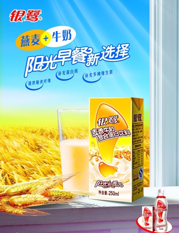 银鹭麦香牛奶09最新广告图片