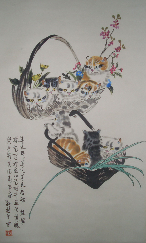 懶貓圖片