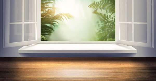 綠色植物窗戶banner背景素材