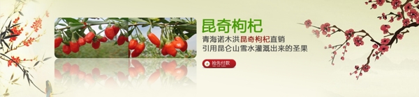 淘寶首頁促銷圖