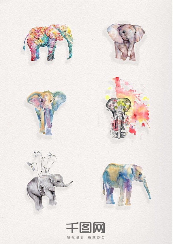 一组精美水彩动物大象设计素材