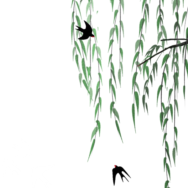 植物柳叶与燕子插画
