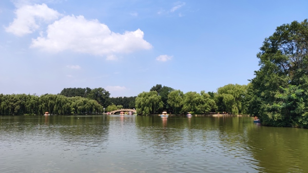公園春天