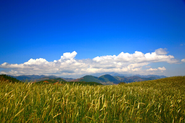 麦地山峰美丽风光图片