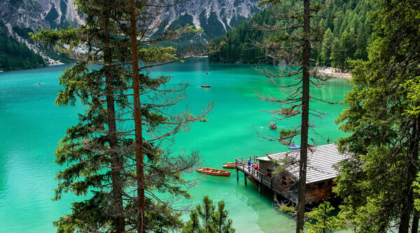 風(fēng)景