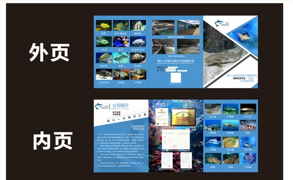 海洋三折頁(yè)