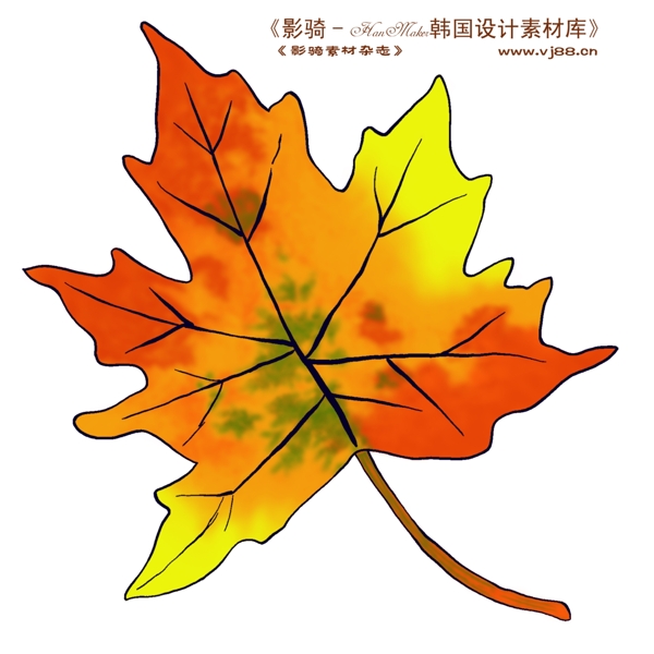 花紋花朵裝飾修飾HanMaker韓國(guó)設(shè)計(jì)素材庫(kù)