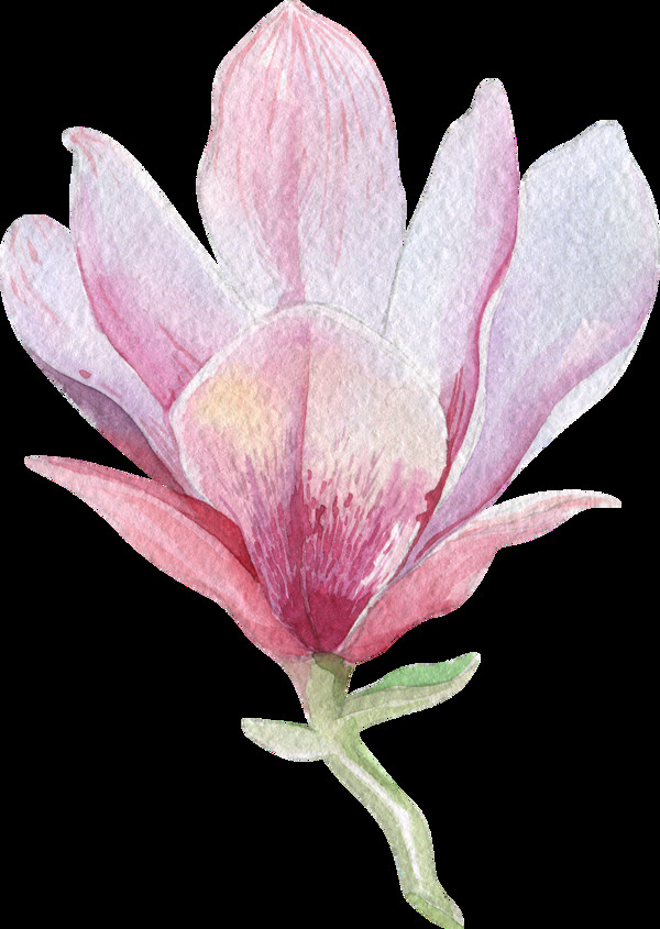 金粉花葉卡通透明素材
