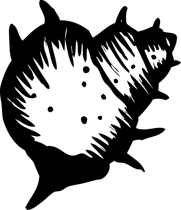 向量的海洋生物