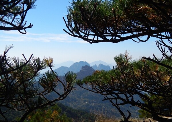 黃山風光黃山旅游黃山美景圖片
