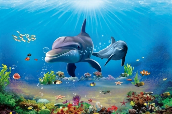 3D海豚海底世界
