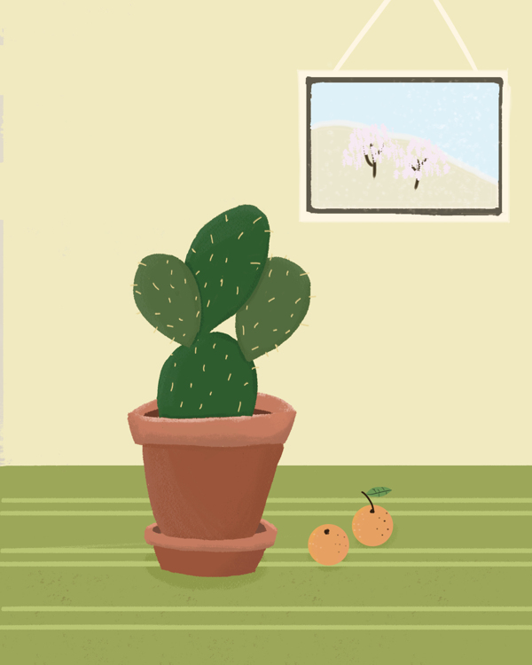 仙人掌植物插画图片