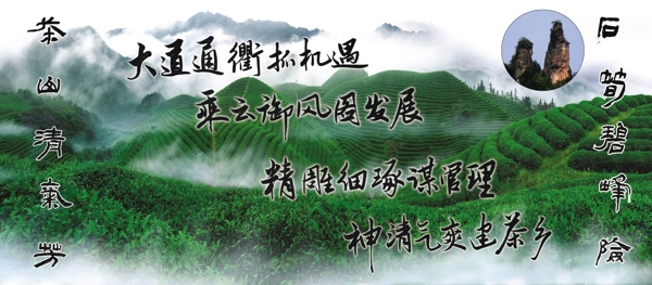 茶山圖片