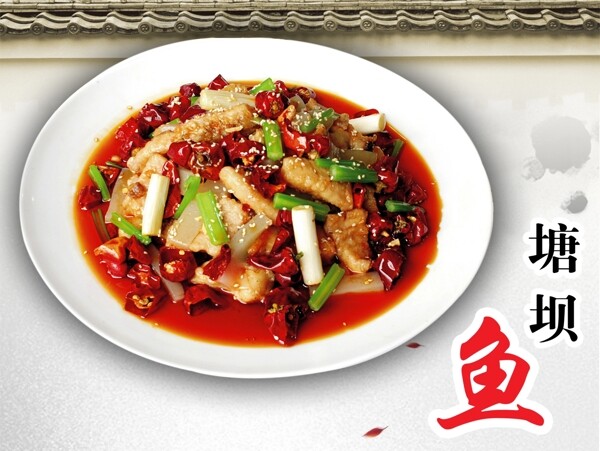 塘壩魚圖片