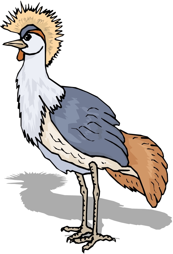 各種鳥類鳥動物矢量素材EPS格式0595