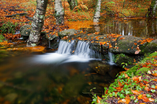 美丽的秋天小瀑布图片