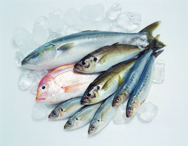 魚魚類海鮮