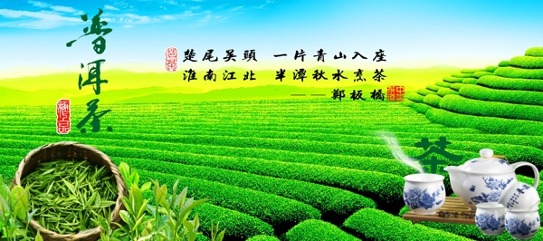 茶