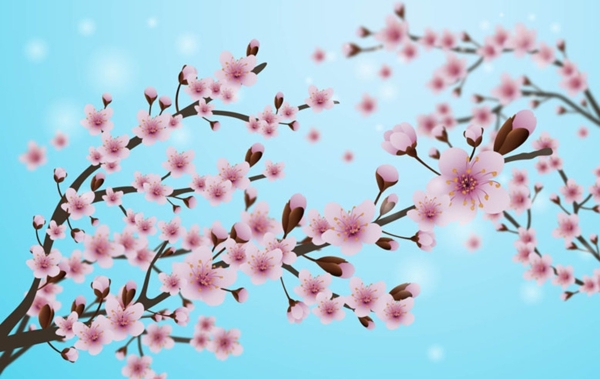 朦胧背景春季樱花海报