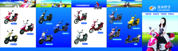 浩洋嬌子電動車