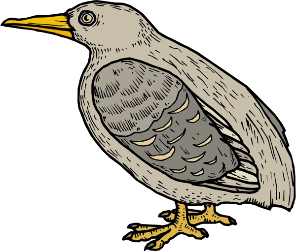 各種鳥類鳥動(dòng)物矢量素材EPS格式0091