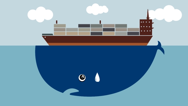 大海鲸鱼扁平风插画