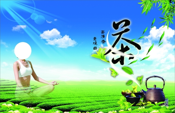 瑜伽茶道圖片