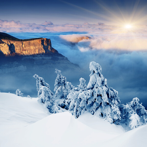 美丽的冬季雪景图片
