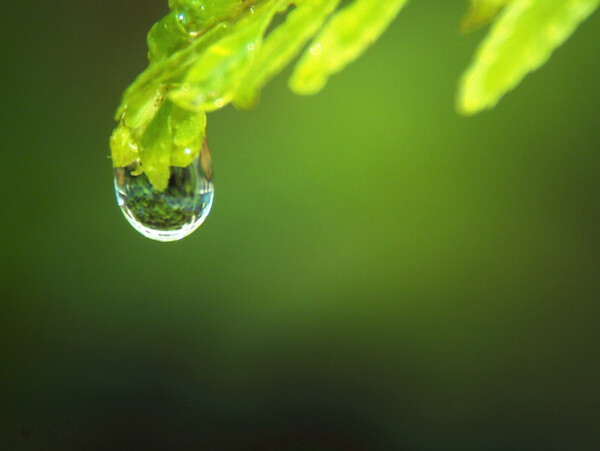 水滴圖片