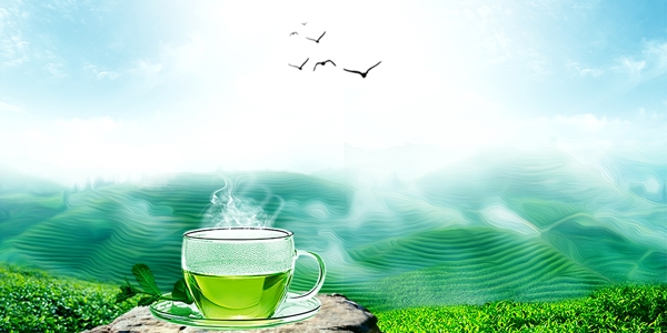 茶背景