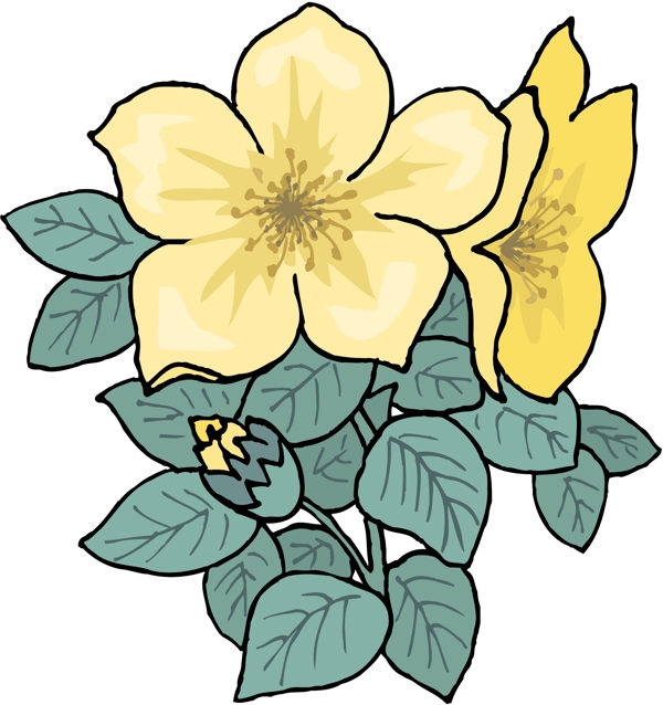 花朵花草鮮花矢量EPS格式1323