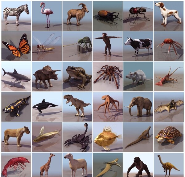 38种精美动物三维模型图片