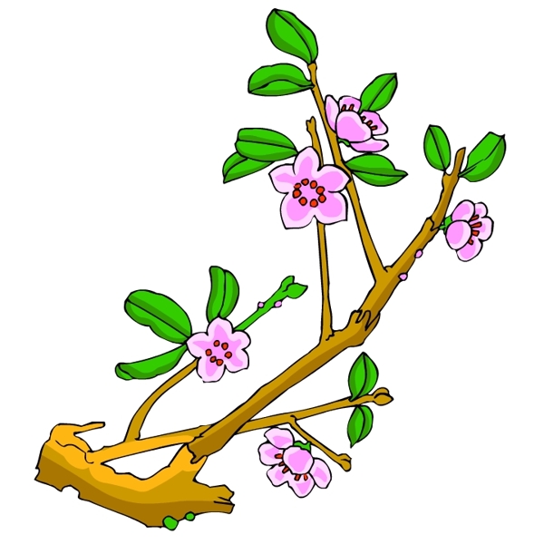 花卉古典插畫